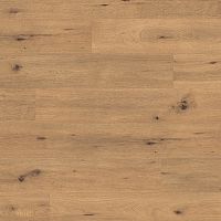 Ламинат Egger Pro 2023+ Classic Дикий дуб натуральный