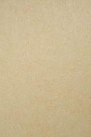 Ламинированная панель ПВХ Интонако желтый