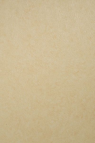 Ламинированная панель ПВХ Интонако желтый